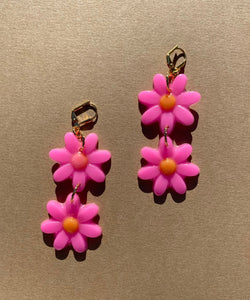 DOUBLE DAISIES IN HOT PINK